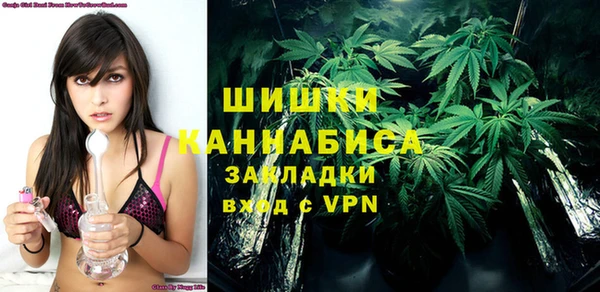 тгк Новозыбков