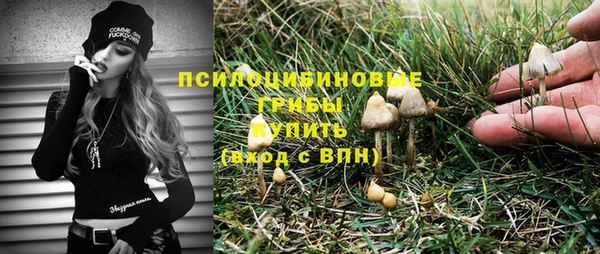 твердый Протвино