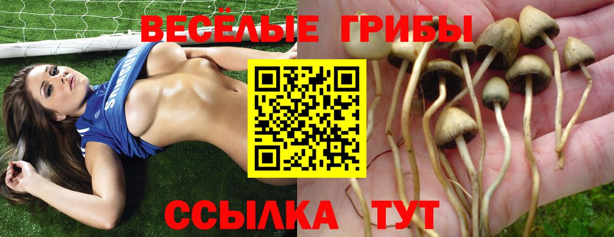 Галлюциногенные грибы мицелий Лыткарино