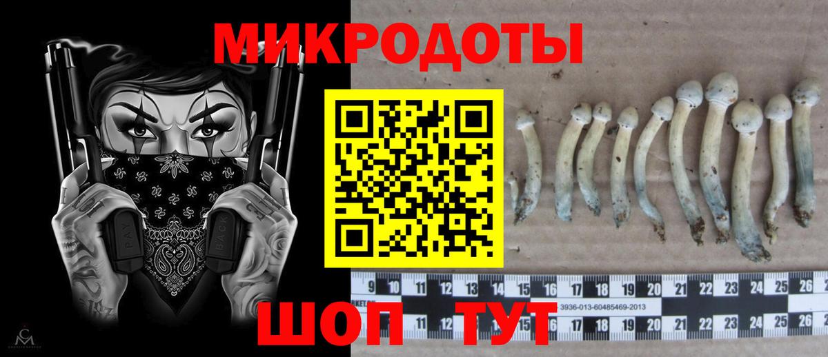 Лыткарино  дарнет шоп  Вход с VPN  Галлюциногенные грибы мухоморы 